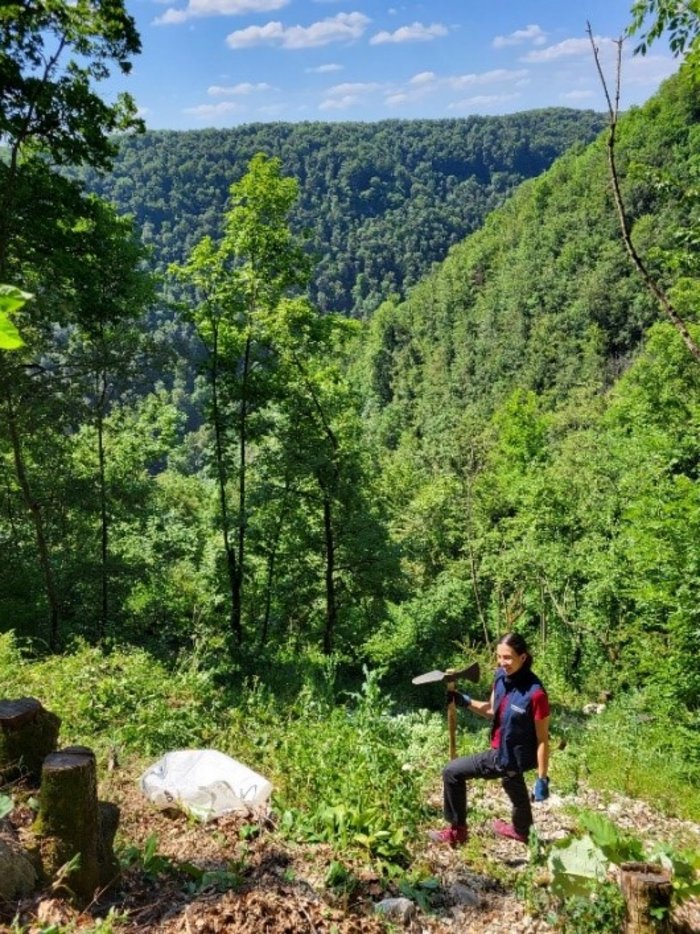 Pflegeeinsatz der Lichtwaldarten in der Schwäbischen Alb 