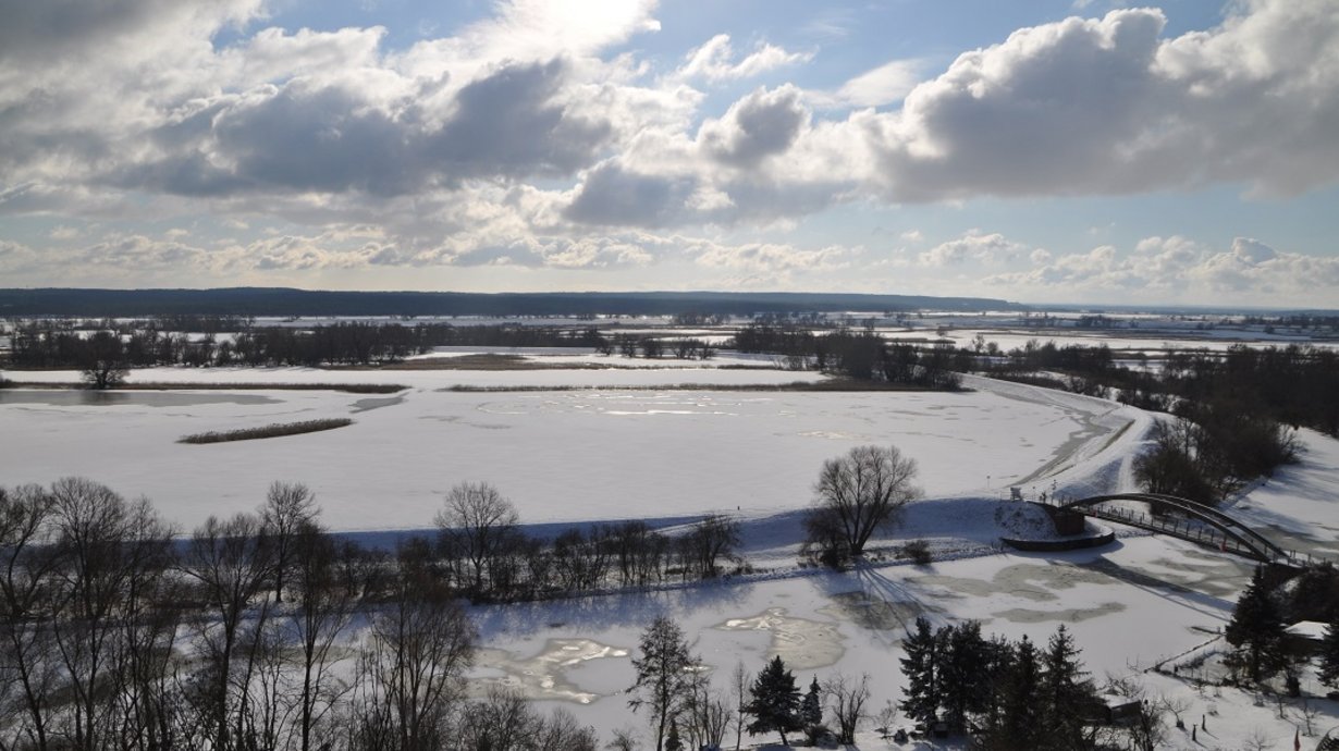 Unteres Odertal im Winter mit gefrorenen Wasserflächen
