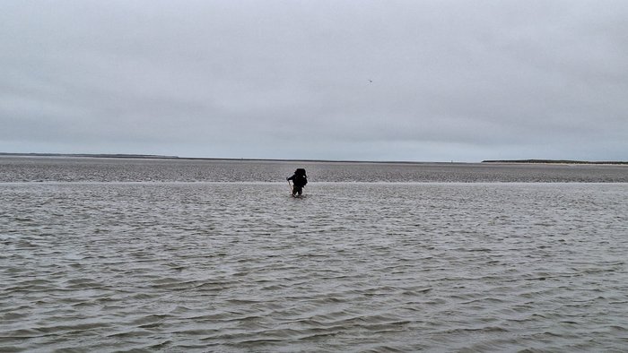 Wattführer Joke geht am Priel voraus