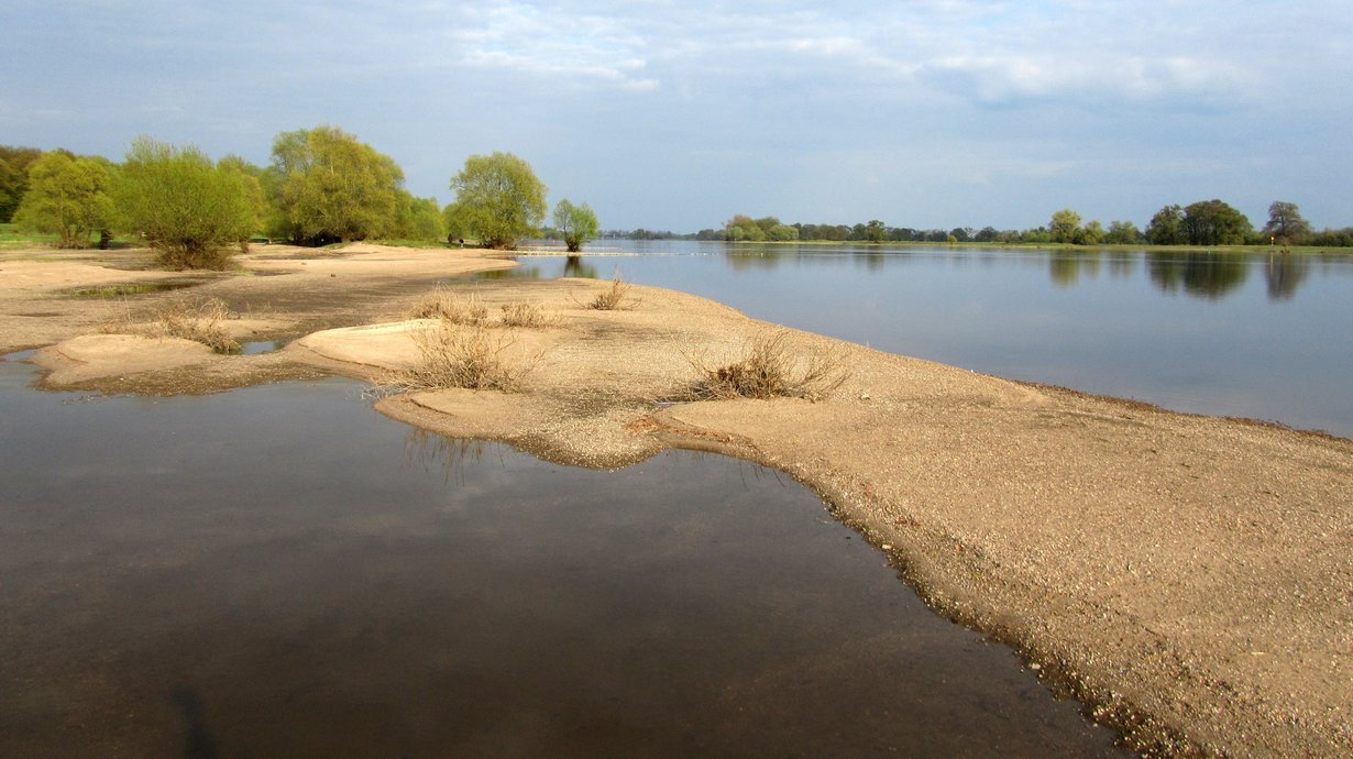 Flusslandschaft Elbe Brandenburg